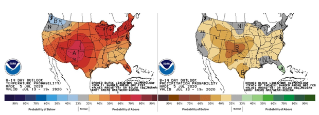 temp-and-precipitation-outlook.png 
