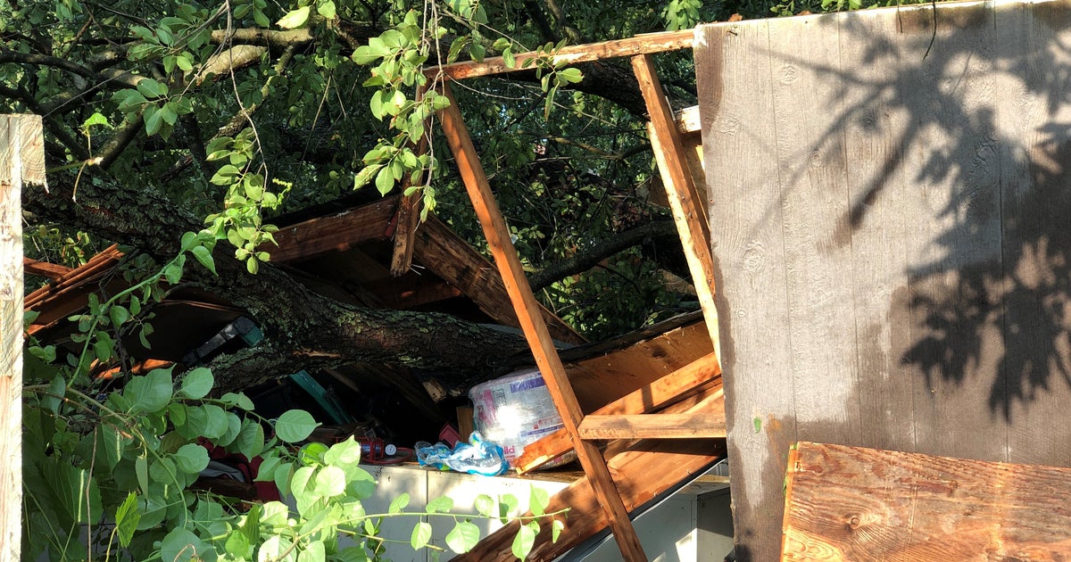 Fire Officials 21 People Injured After Large Tree Falls On Garage In