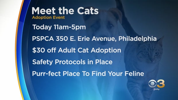 PSPCA Adoption Event 