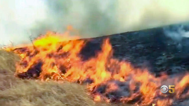 grass-fire.jpg 