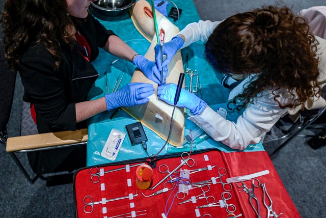 Seminar for Vascular Surgery 