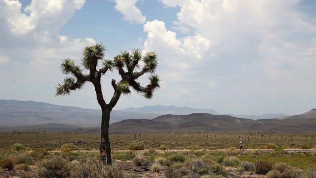 STYR Labs Badwater 135 