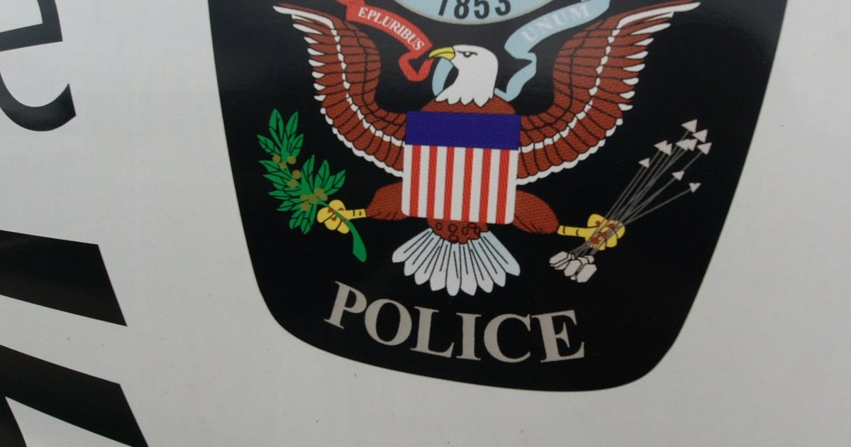 Woodbury Police Say 2 13YearOlds Apprehended In Car Thefts Over