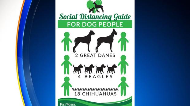 Dog park social distancing guide 