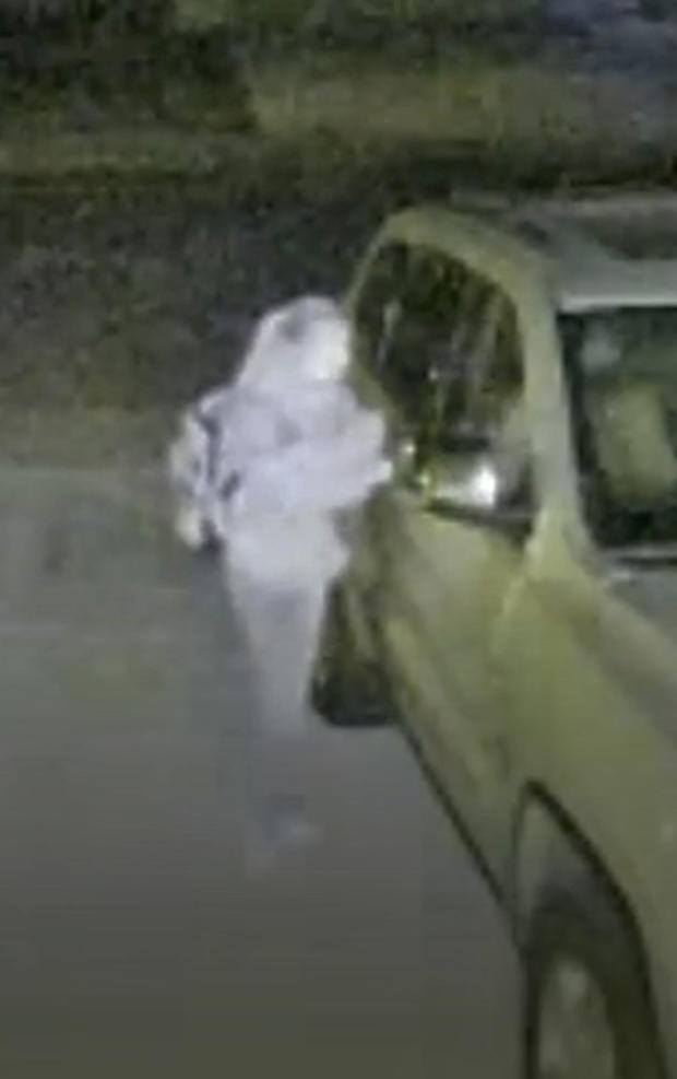 golden serial thieves Suspect from Ring video 