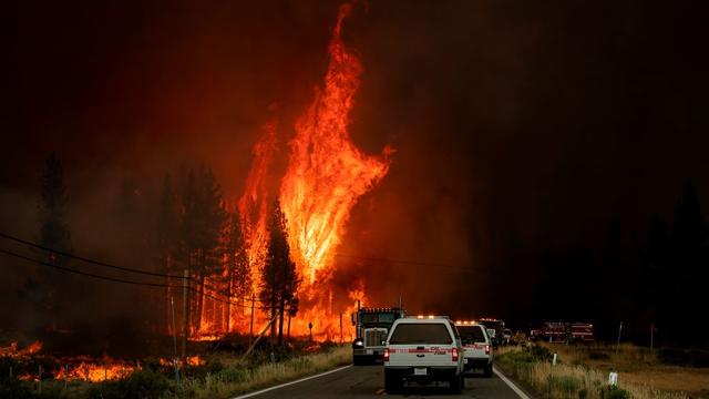 hog_fire_susanville_1227712583.jpg 