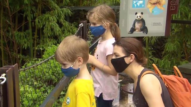 cbsn-fusion-national-zoo-reopens-for-the-first-time-in-19-weeks-thumbnail-520303-640x360.jpg 