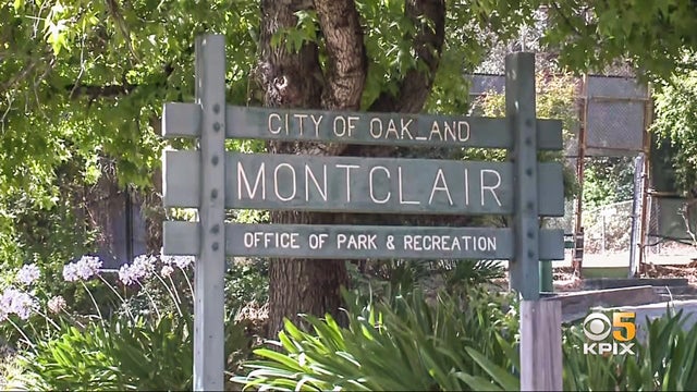 montclair.jpg 