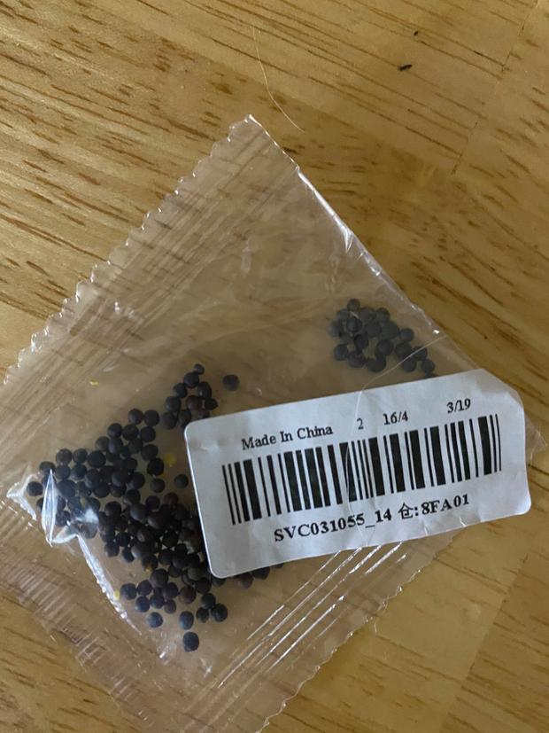 chinese seeds (from colorado dept of agriculture)4 