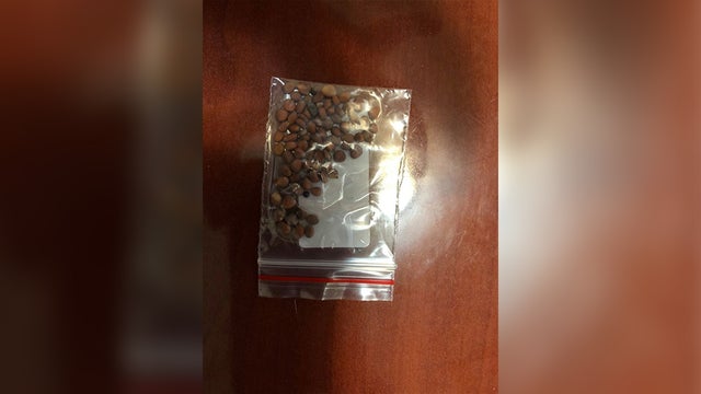 unlabeled-seeds-usda.jpg 