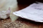 cbsn-fusion-suspicious-seeds-sent-from-china-found-in-americans-mailboxes-across-several-states-thumbnail-522015-640x360.jpg 