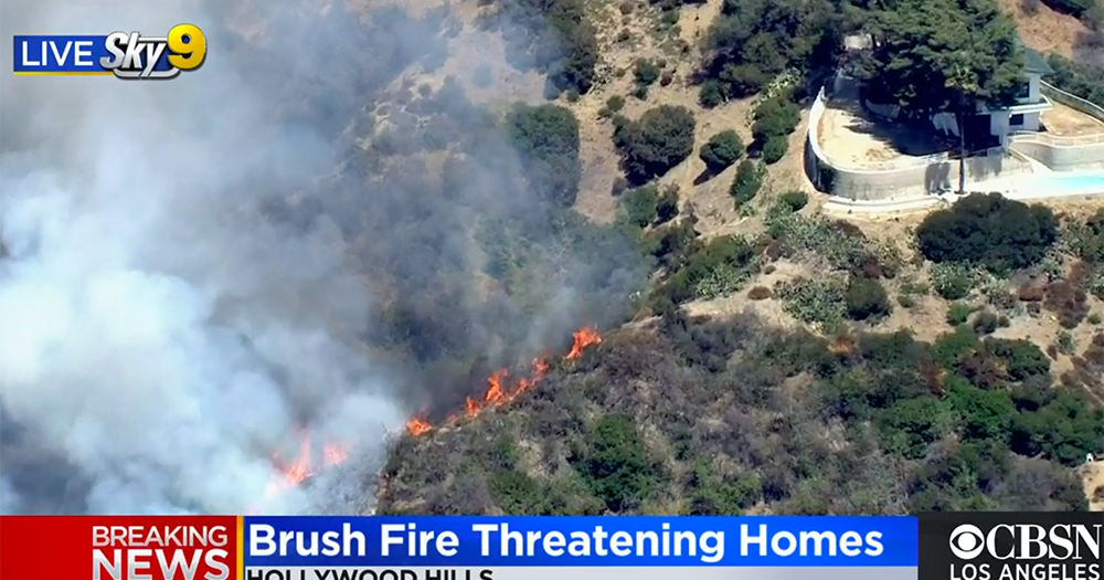 Crews Get Handle On Brush Fire Burning Near Homes In Hollywood Hills ...
