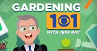 Gardening 101: Heat-proof your garden - Vimarsana News