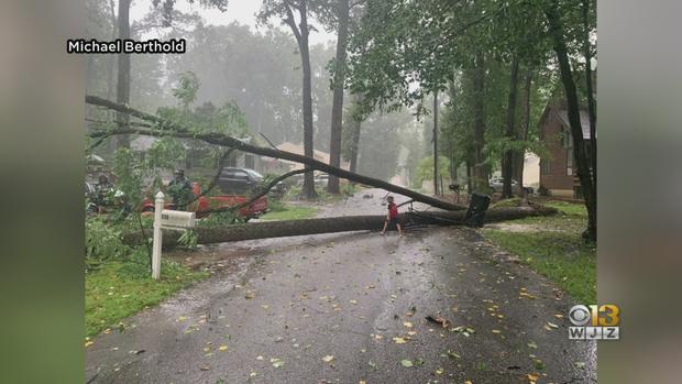 storm damage crownsville 