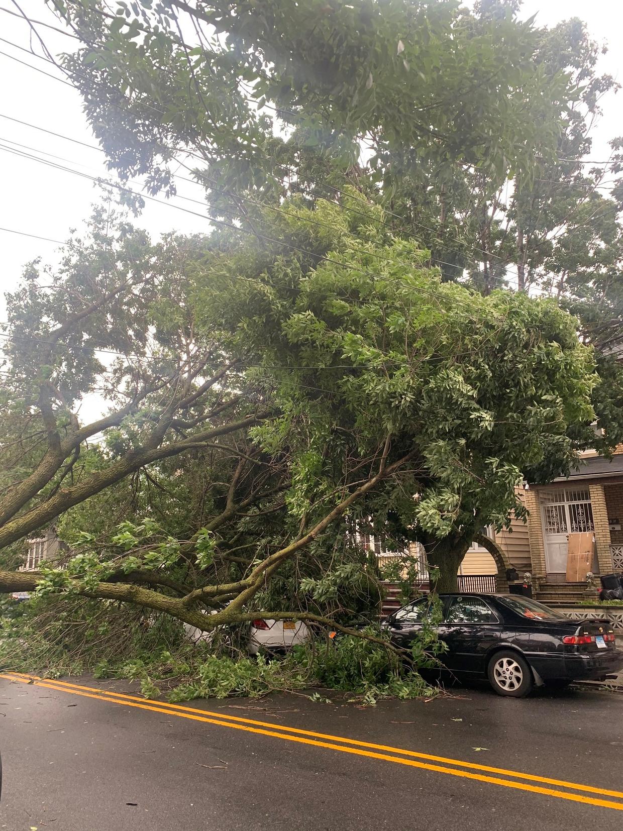 Tropical Storm Isaias Leaves Path Of Destruction In New York And New Jersey