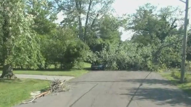 new-rochelle-tree-down.jpg 