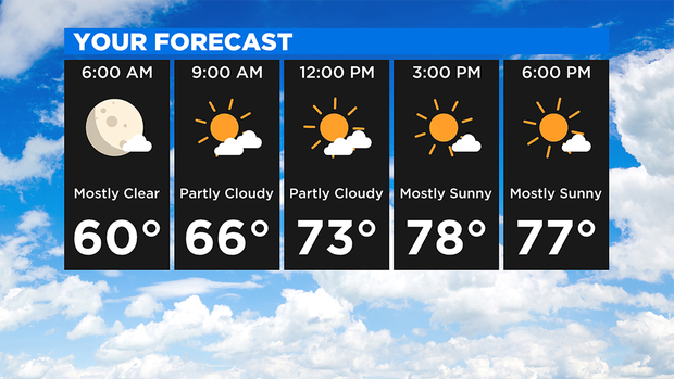 Your Forecast 