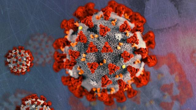 coronavirus-illustration.jpg 