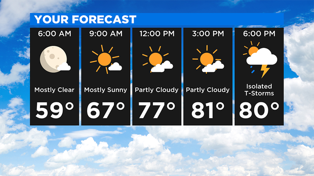 Your Forecast 