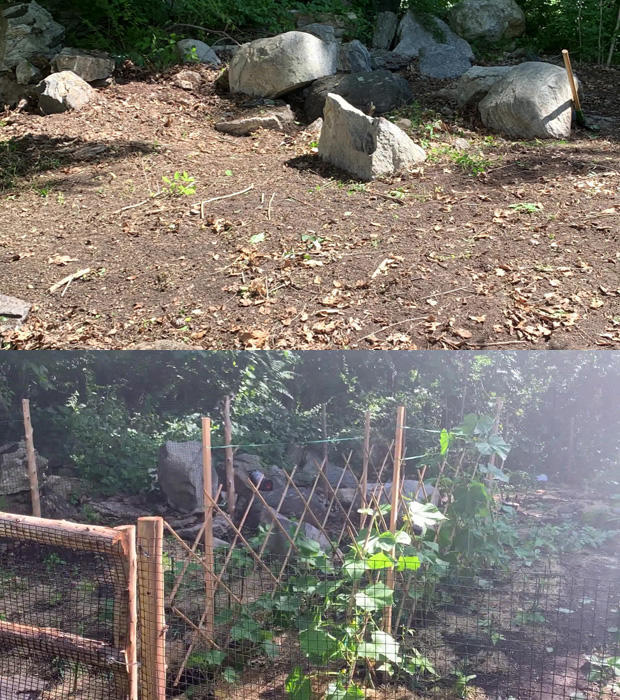 gaffigan-second-garden-before-and-after.jpg 