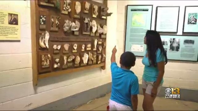 museum.jpg 