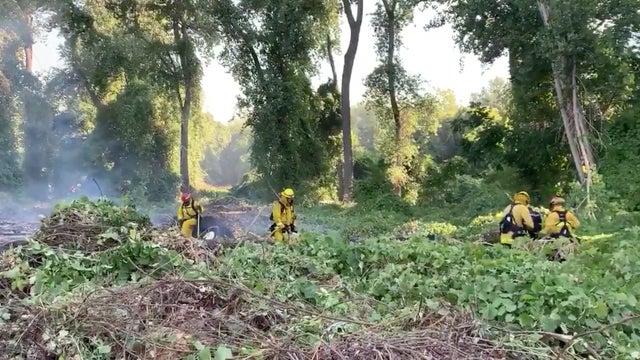 sac-fire-grass-fire-discovery-park.jpg 