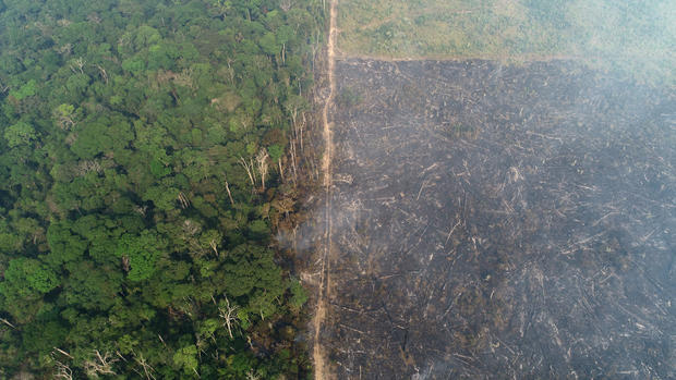 General view of a tract of the Amazon jungle which burns as it is cleared by loggers and farmers near Apui 