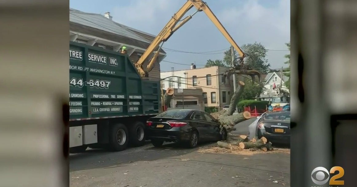 Enormous Tree Finally Removed From On Top Of Car, But Woodhaven, Queens