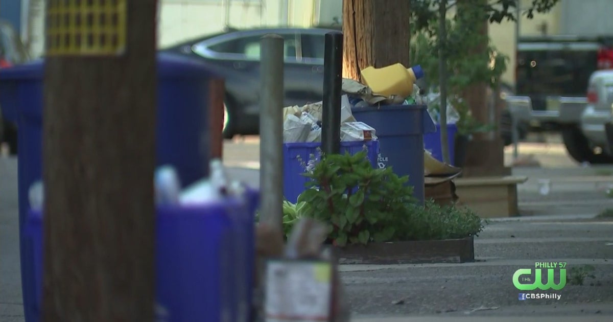 'It's Been Rained On, It's Been Peed On' South Philly Volunteers