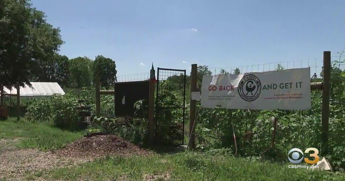 Network Of Philadelphia-Based Urban Farmers Working To Preserve History ...