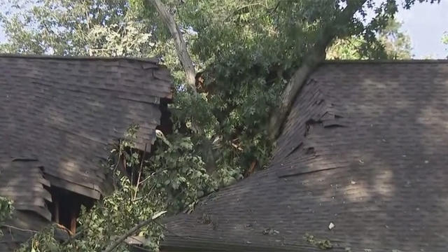 tree-on-house-middletown1.jpg 