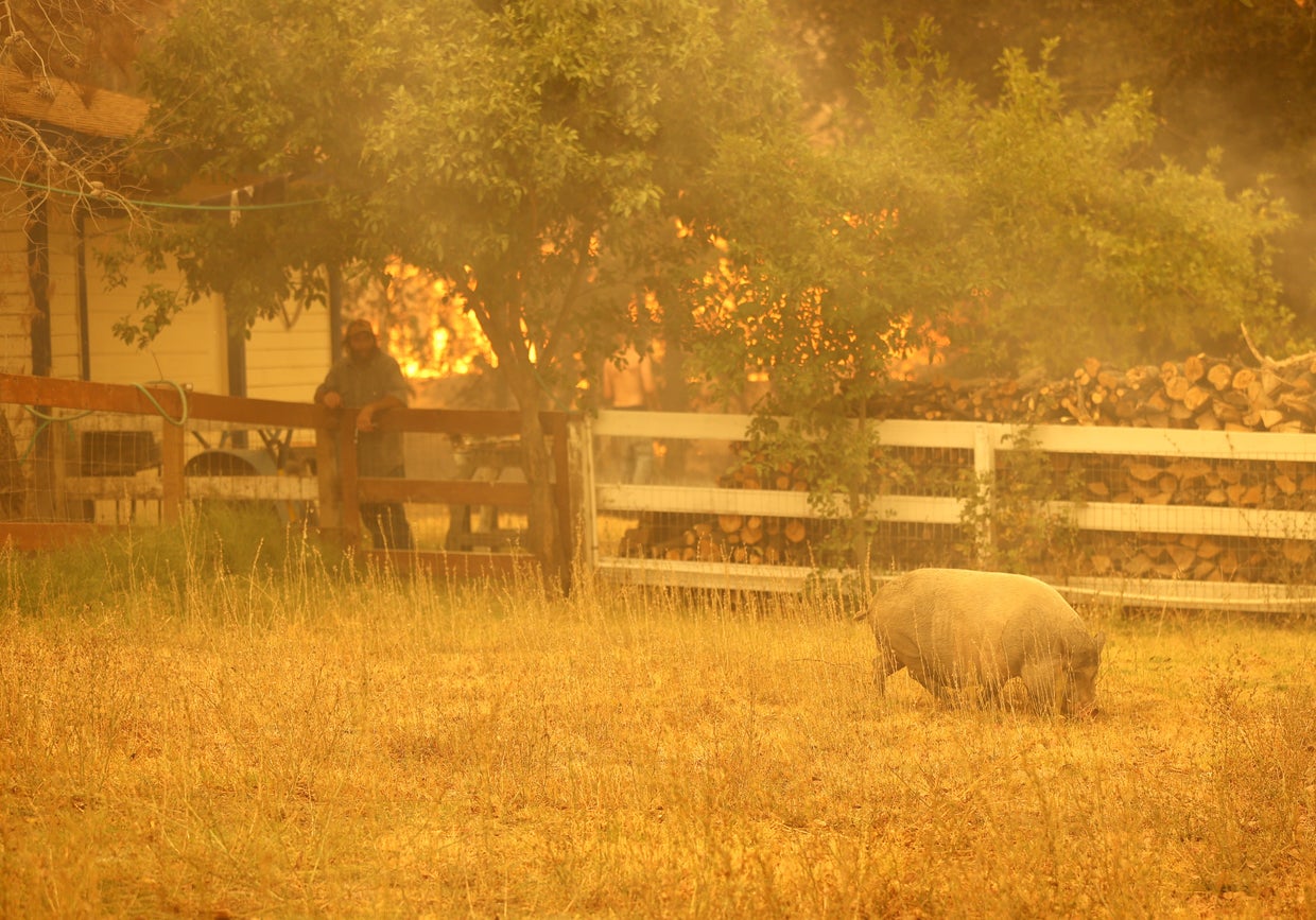 LNU Lightning Complex Fire Burns In Napa County 