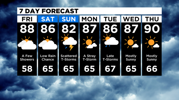 7 Day Forecast 