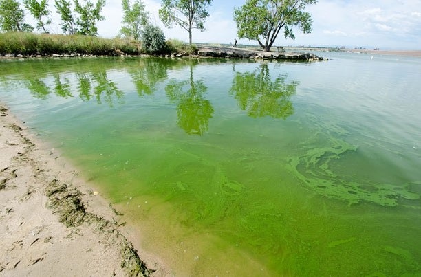cherry creek reservoir 