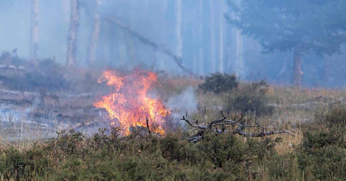 Increased Humidity Helps In Battle Against Williams Fork Fire In Grand ...