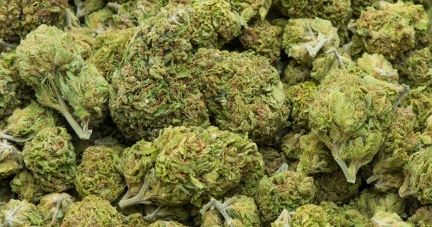 Florida Authorizes Edibles In Licensed Medicinal Marijuana Dispensaries