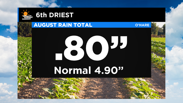 Dry August: 08.31.20 