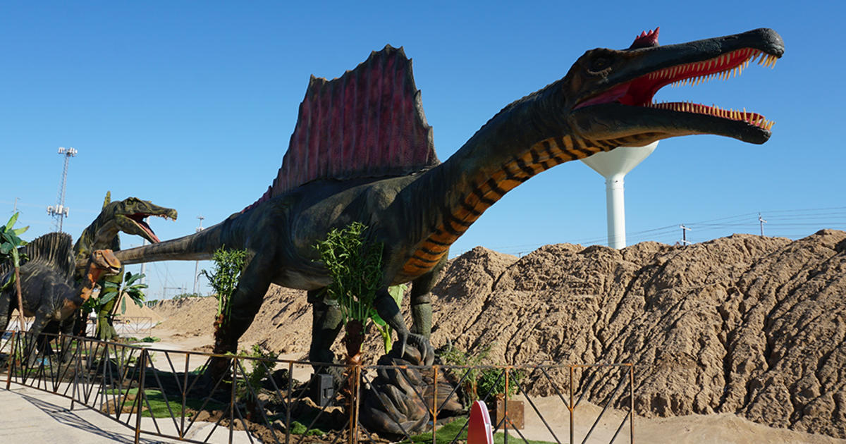 To Do List: Dinosaur Drive-Thru, Music Festival, Sculpture Park Picnic -  CBS Boston