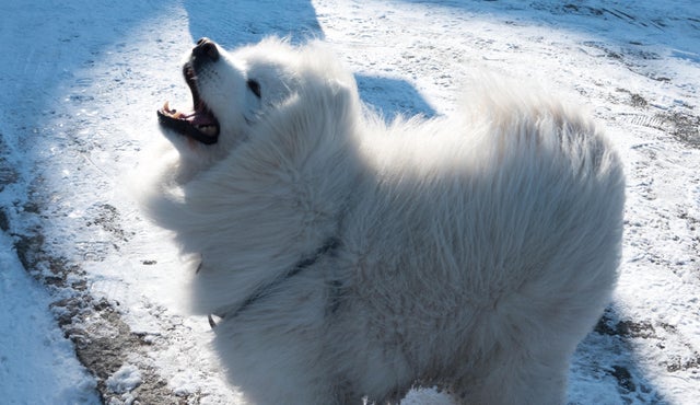 Britain Freezes As Siberian Weather Sweeps Across The Country 