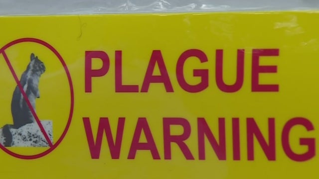 plague-warning.jpg 