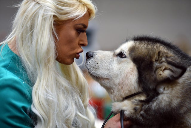 Crufts 2020 -Day Three 