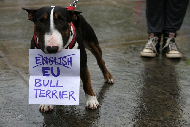 BRITAIN-EU-POLITICS-BREXIT-PROTEST 