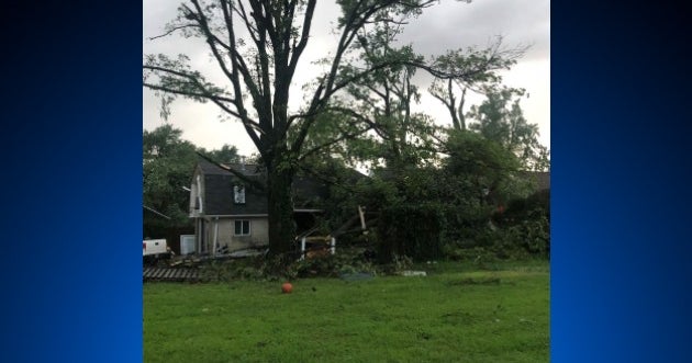 Tree Topples Into Edgewater Home; Radar Confirmed Tornado Touched Down