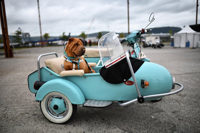 Vespa World Days Belfast 