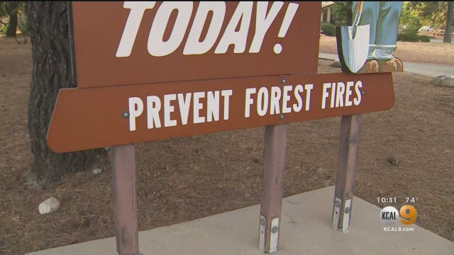 Prevent-Forest-Fires.jpg 