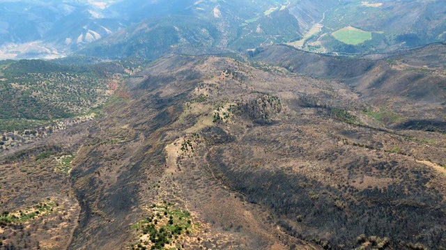 GRIZZLY CREEK FIRE 1 