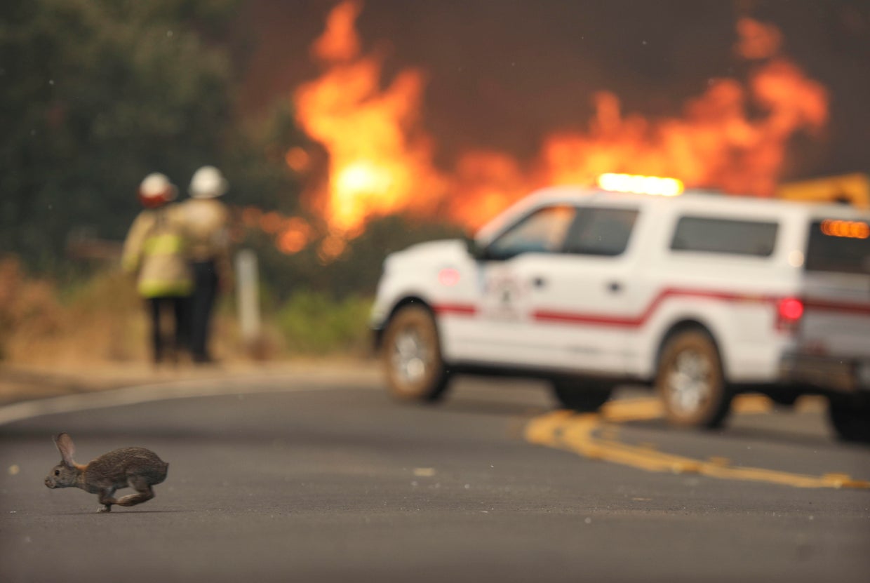 TOPSHOT-US-CALIFORNIA-FIRE 