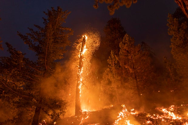 Bobcat Fire Burns East Of Los Angeles