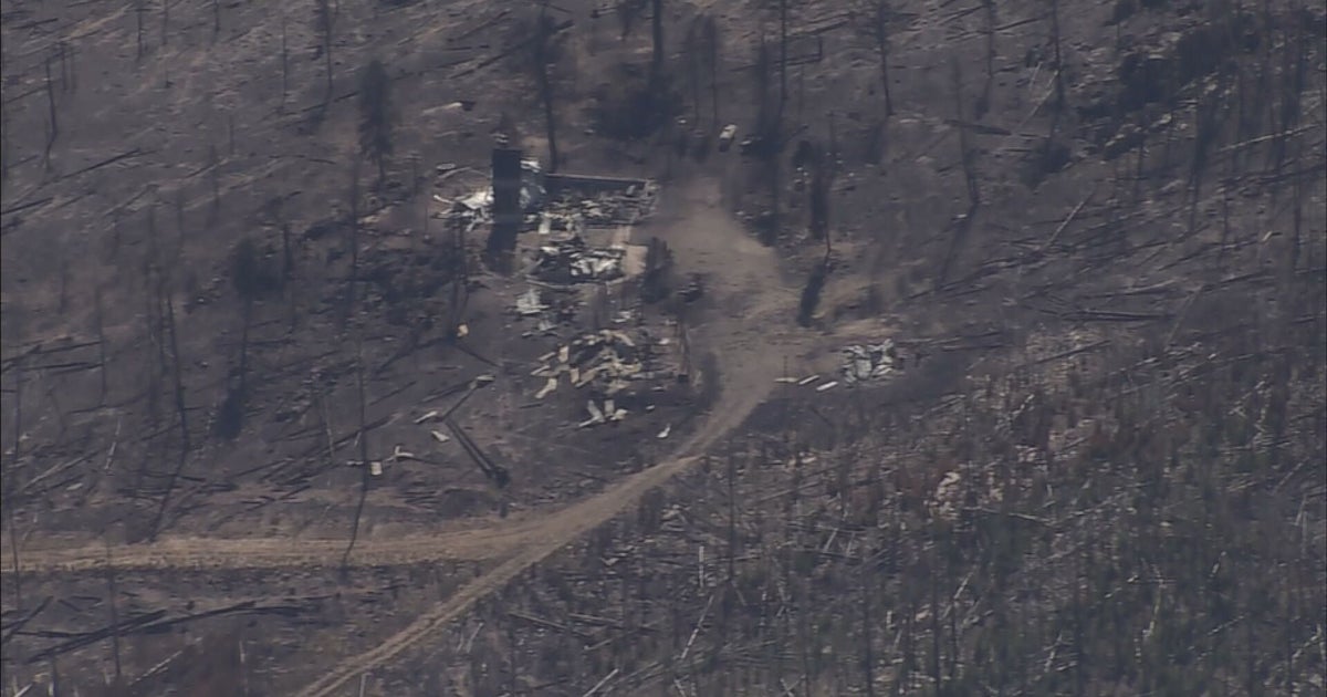 Copter4 Shows Destruction From Cameron Peak Fire - CBS Colorado