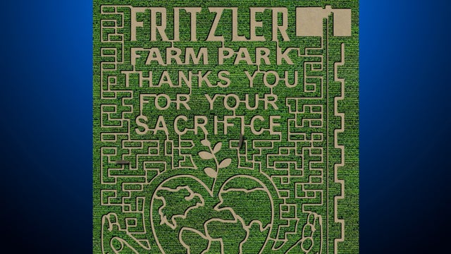 corn-maze-fritzler-farm-park.jpg 
